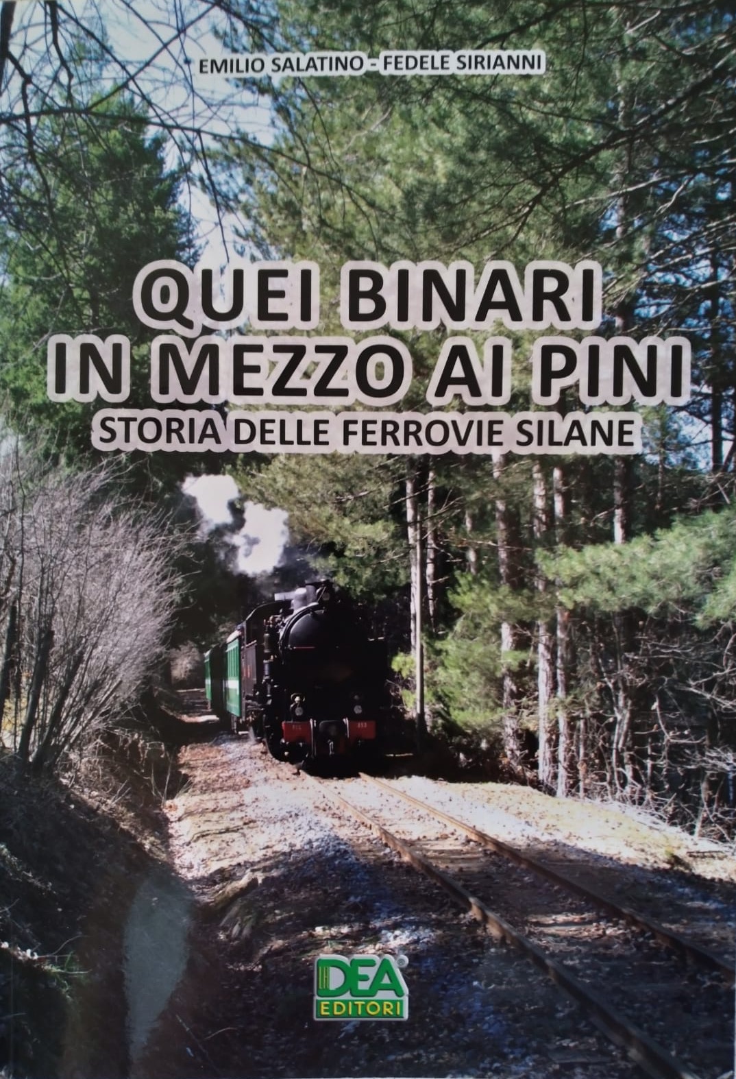 Quei binari in mezzo ai pini